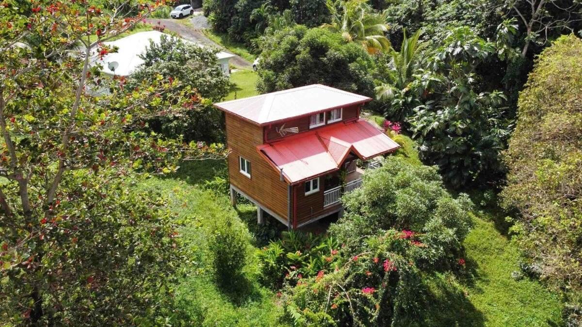 Mahogany Lodge - Oasis Cosy Riviere-Pilote Exterior photo